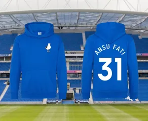 Brighton Supporters Hero Hoodies